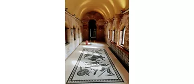 Musée des Murailles