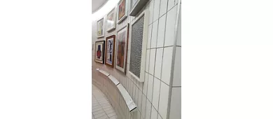 Casa Museo Remo Brindisi