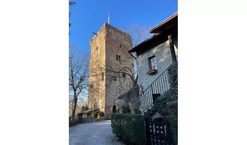 Das Schloss von Rivalta