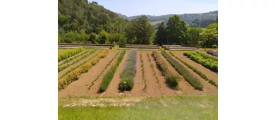 Jardim de Ervas Augusto Rinaldi Ceroni, Casola Valsenio (RA)