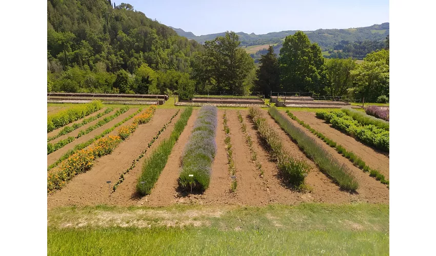 Giardino Delle Erbe Augusto Rinaldi Ceroni, Casola Valsenio (RA)