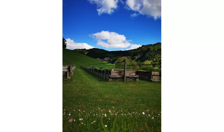 Kräutergarten Augusto Rinaldi Ceroni, Casola Valsenio (RA)