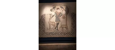 Domus dei Tappeti di Pietra
