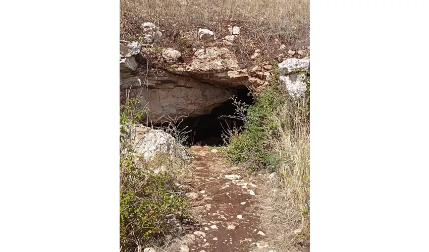 Centro Visite Lamalunga