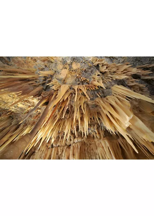 Cuevas de Castellana 