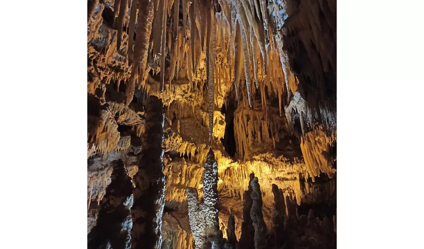 Grottes de Castellana