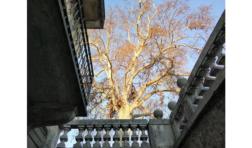 Istituto Oblati San Giuseppe