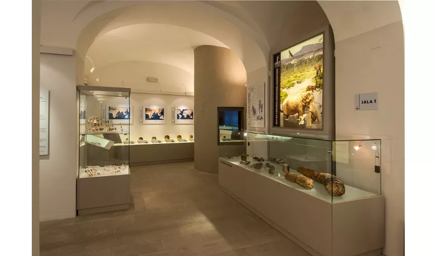Archäologisches Museum des Casentino