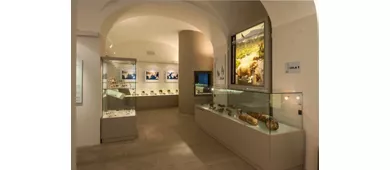 Archäologisches Museum des Casentino