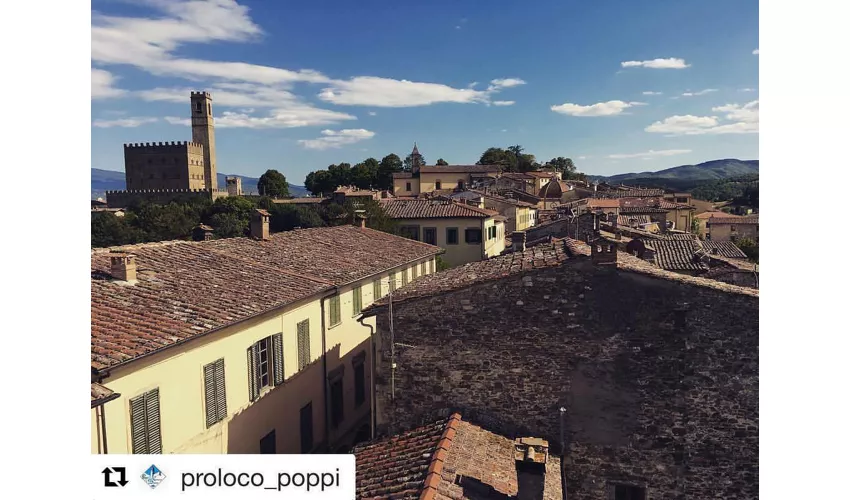 Castello dei Conti Guidi