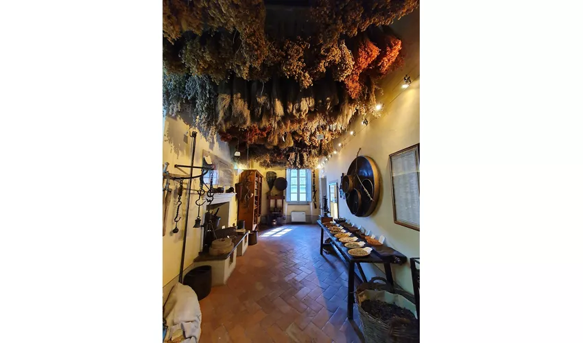 Museu das Ervas - Museu Aboca