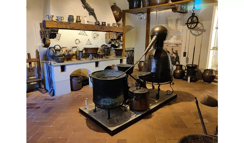 Museu das Ervas - Museu Aboca