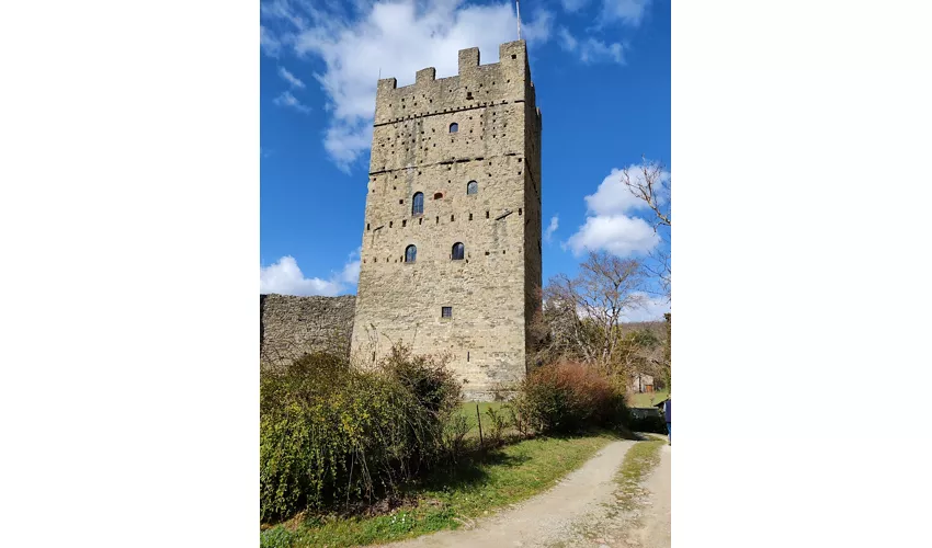 castello di Porciano
