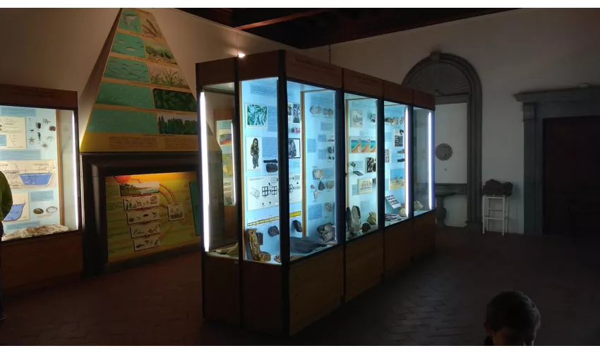 Museo Civico di Paleontologia