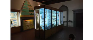 Museo Civico di Paleontologia