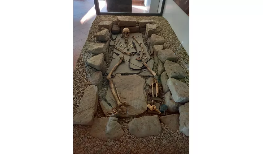 Museu Cívico Arqueológico