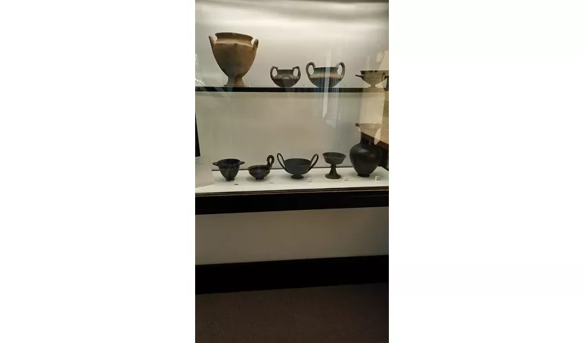 Museu Cívico Arqueológico