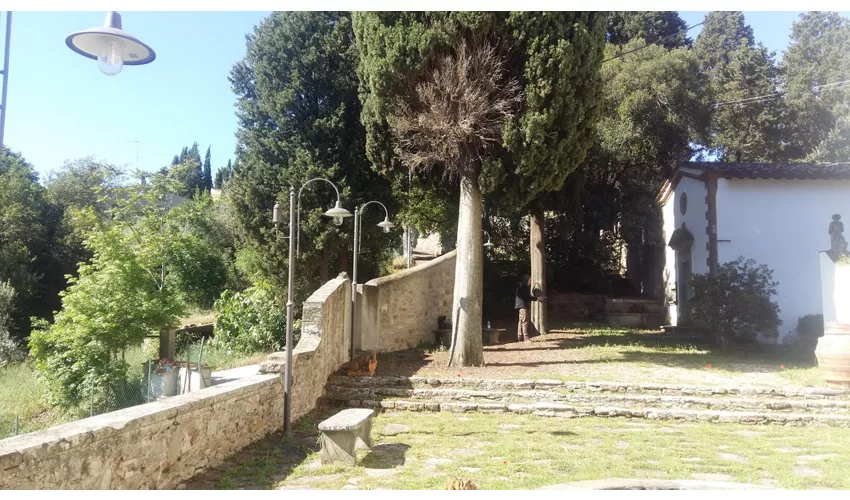 Fondation Primo Conti Onlus