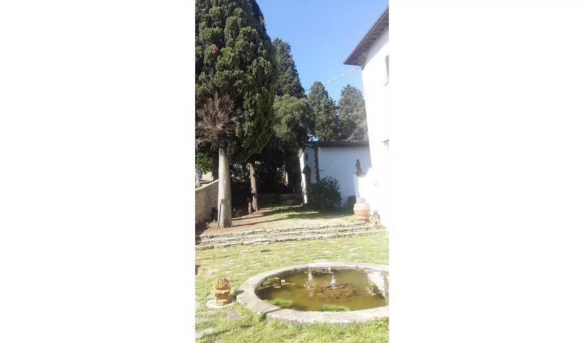 Fondazione Primo Conti Onlus