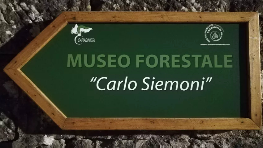 Museo Forestale e Arboreto Carlo Siemoni