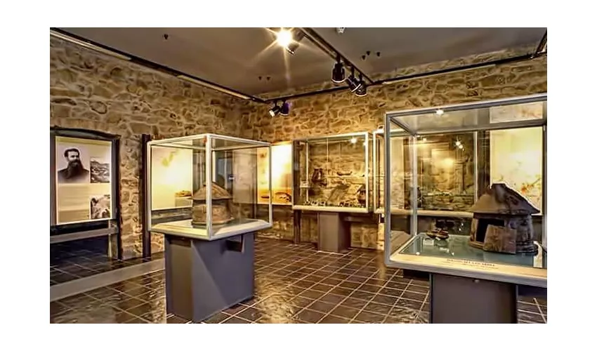 Museo Civico Archeologico “Isidoro Falchi” - MuVet