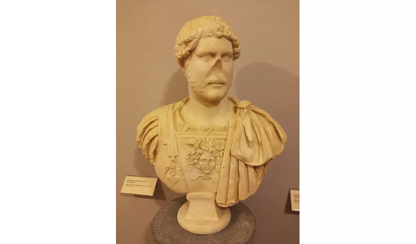 Archäologisches und Kunstmuseum der Maremma