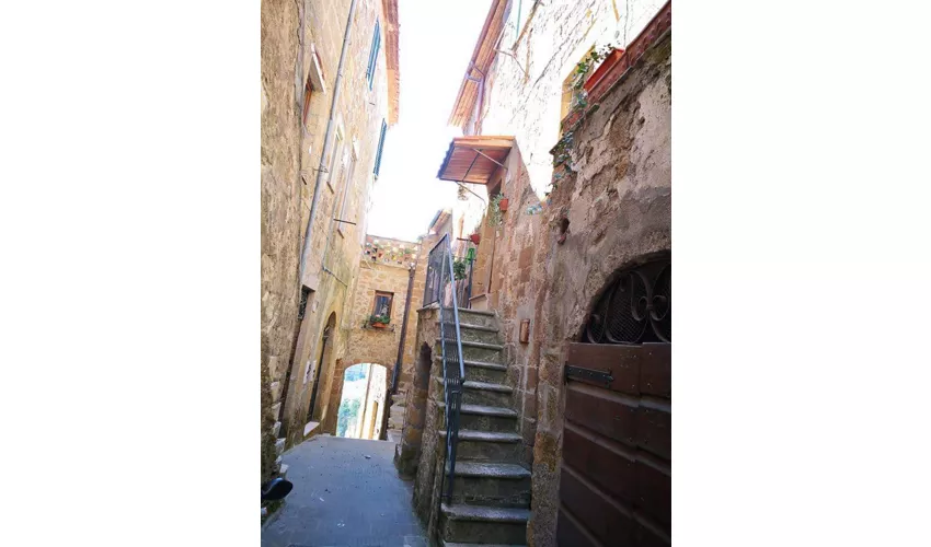 Museo Civico Archeologico