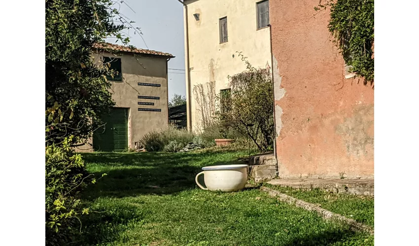 Garten von Daniel Spoerri