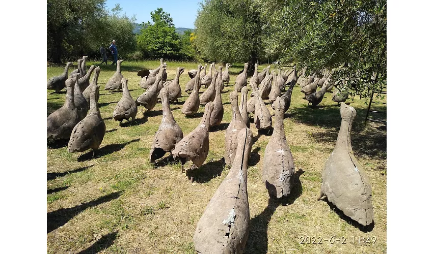 Jardin de Daniel Spoerri
