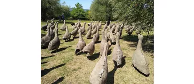 Jardin de Daniel Spoerri