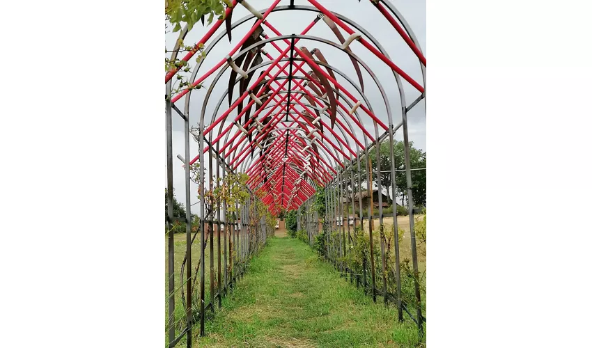 Giardino di Daniel Spoerri