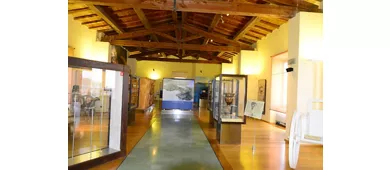 Museu Arqueológico do Território de Populónia