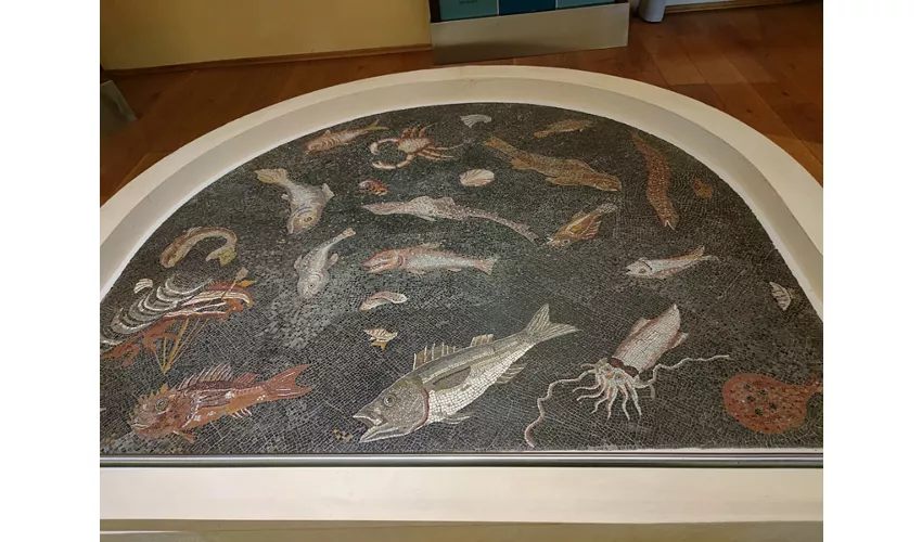 Archäologisches Museum des Gebiets von Populonia