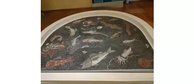 Archäologisches Museum des Gebiets von Populonia