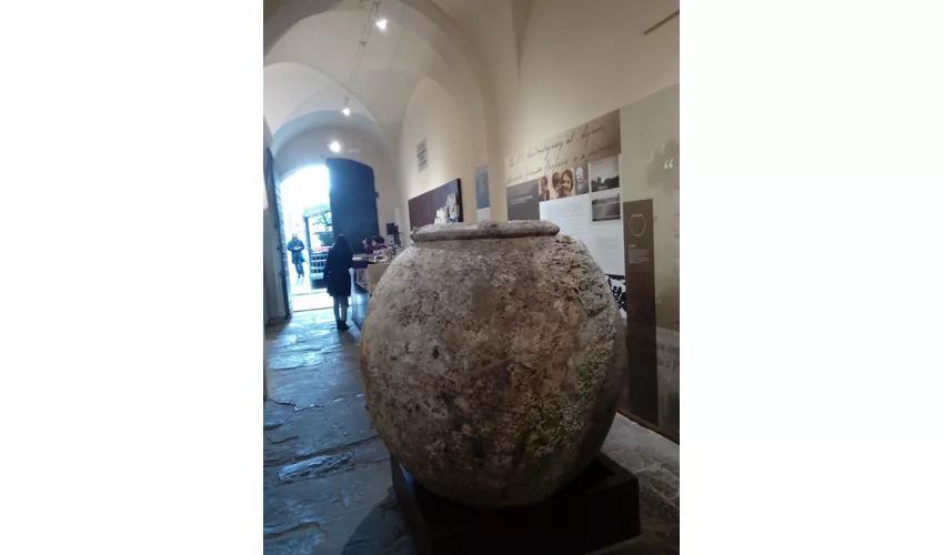 Museo Archeologico Gasparri di Populonia
