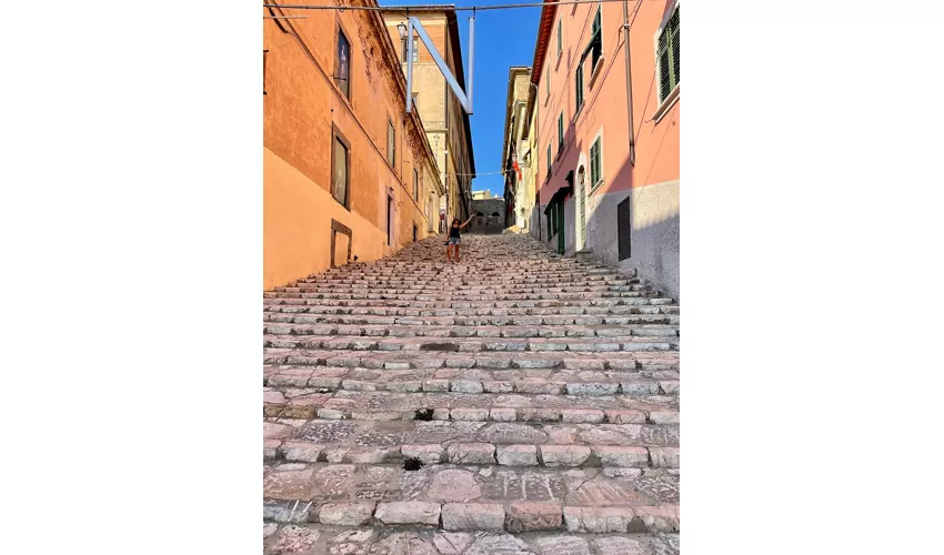 Pinacoteca Foresiana - Portoferraio (li)