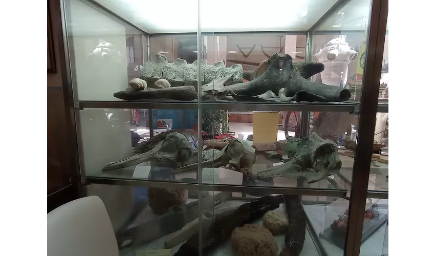 Museo della Marineria