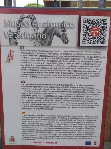 Museo Anatomico Veterinario