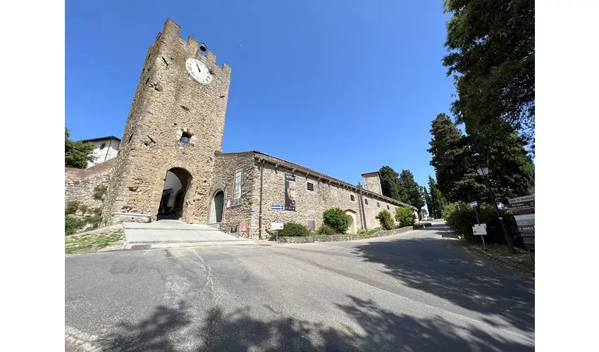 Archäologisches Museum von Artimino