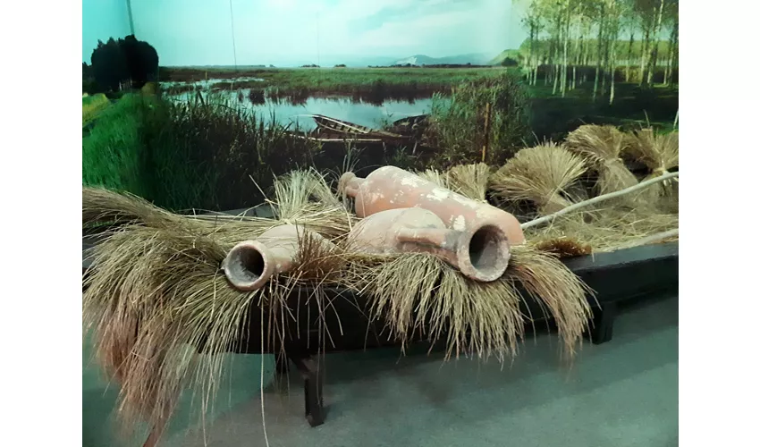 Museu da Cidade e do Território