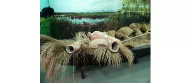 Musée de la ville et du territoire