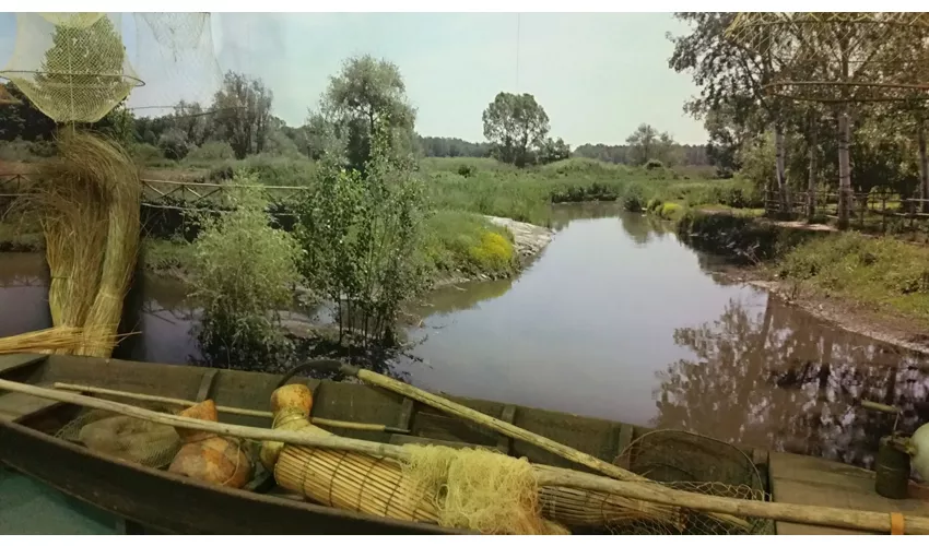 Museu da Cidade e do Território