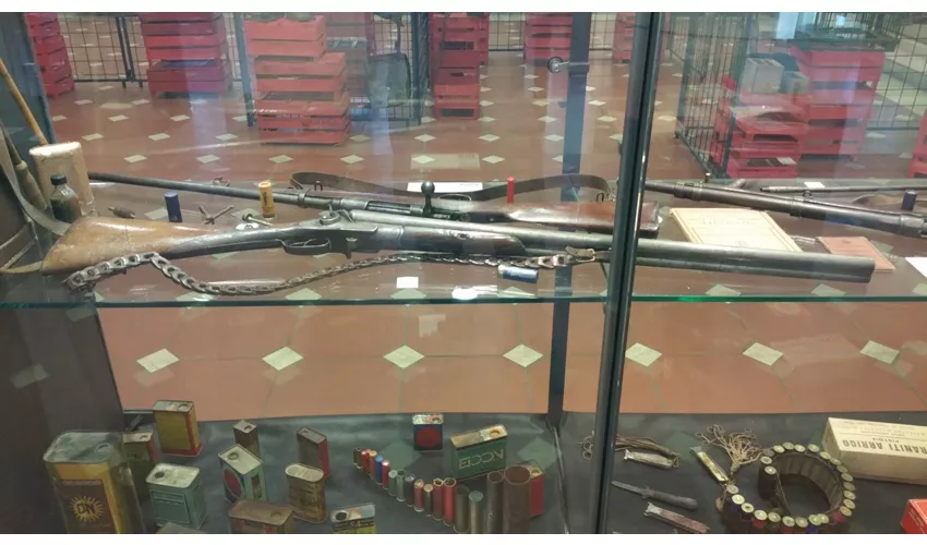 Museo della Città e del Territorio
