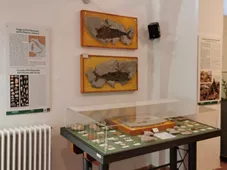 Ecomuseo Montagna Pistoiese - Museo Naturalistico Archeologico Appennino Pistoiese (MuNAP)