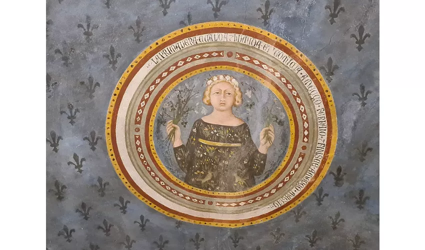 Museum Palazzo Corboli