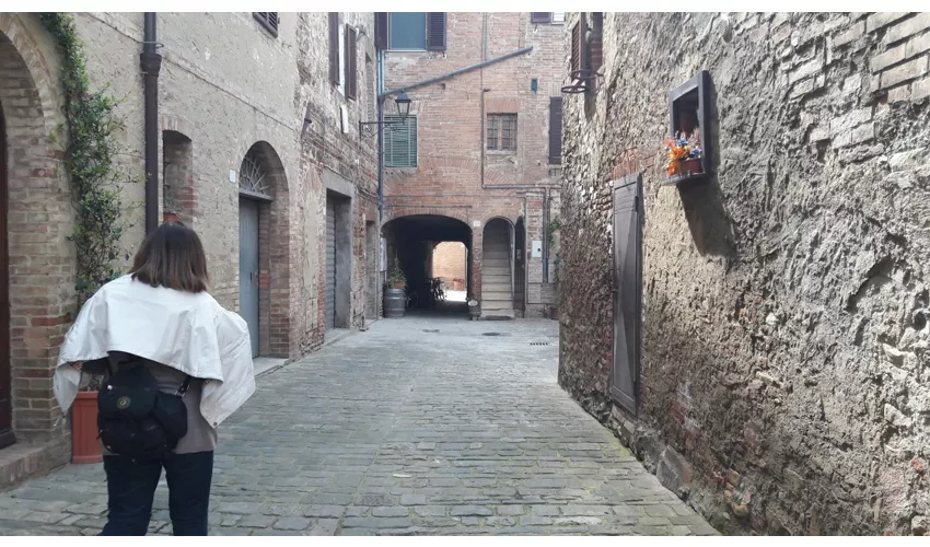 Museo della Mezzadria Senese