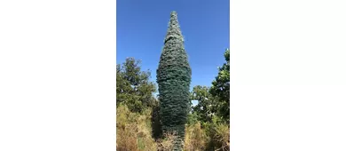 Parc de sculptures du Chianti