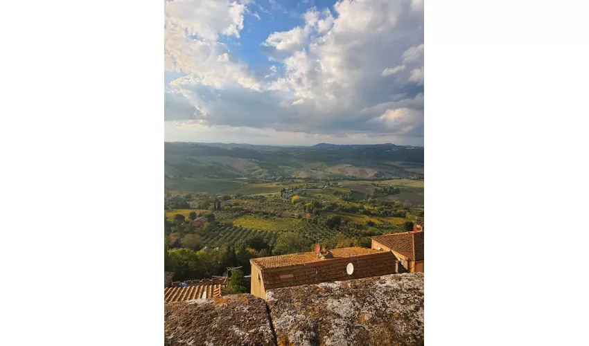 Stadtmuseum Pinakothek Crociani