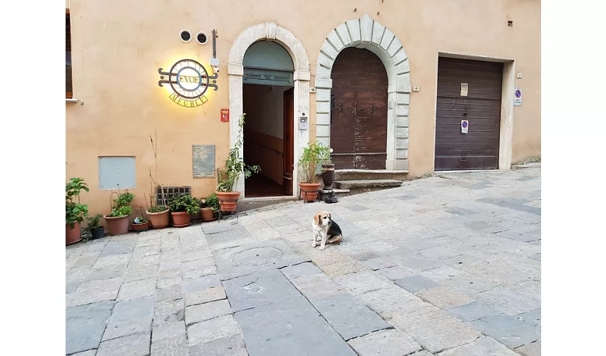 Museo Civico Pinacoteca Crociani