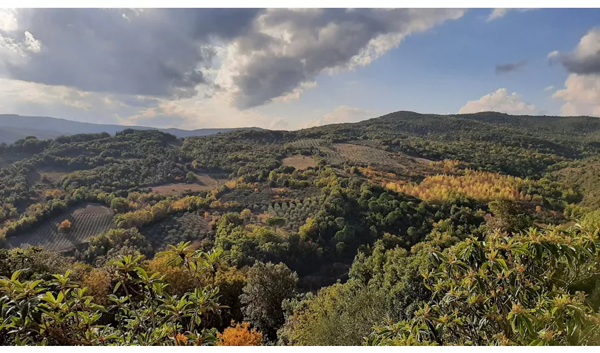 Archäologisches Museum von Murlo – Antiquarium von Poggio Civitate